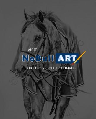 Equine - Back To The Barn - Graphite
