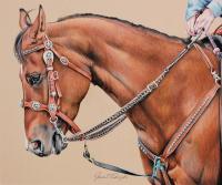 Equine - Turquoise - Colored Pencil