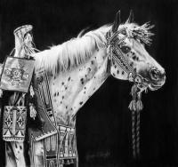 Pride Of The Nez Perce - Graphite Drawings - By Maria Dangelo, Realistic Drawing Artist