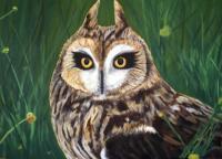 Animal - Horned Owl - Acrylic