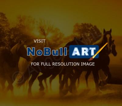 Horses - Horses At Sunrise - Digital