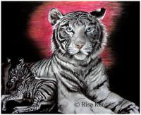 Stripes - Pastel Drawings - By Risa Kent, Other Drawing Artist