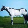 Show Horse Portrait - Acrylics Paintings - By Mark Obryan, Realism Painting Artist