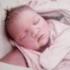 Baby Shay - Colored Pencil On Bristol Drawings - By Allen Palmer, Portrait Drawing Artist