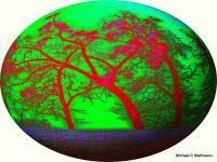 Krukru Trees - Digital Digital - By Michael Mathieson, Digital Fantasy Digital Artist
