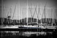 Sailing  In Blue - Digital Photography - By Amy Mcmullen, Black And White Photography Artist