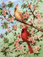 Cardinals In Spring - Watercolor Paintings - By Michael Scherer, Nature Painting Artist