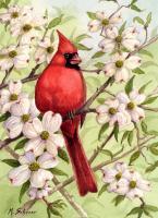 Cardinal In Dogwood - Watercolor Paintings - By Michael Scherer, Nature Painting Artist