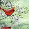 Reflection - Watercolor Paintings - By Michael Scherer, Wildlife Painting Artist