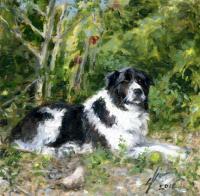 Buddy - Oil Paintings - By Sharin Barber, Realism Painting Artist