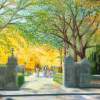 Central Park Fall - Oil On Canvas Paintings - By Leslie Dannenberg, Realism Painting Artist