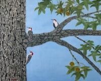 Birds - Woodpeckers On Sweet Gum Tree - Oil On Canvas