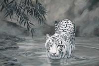 Torrit The Tiger - Oil Paintings - By Laura Curtin, Wildlife Art Painting Artist