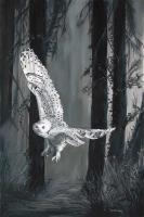 Ghost In Torrit Woods - Oil Paintings - By Laura Curtin, Wildlife Art Painting Artist
