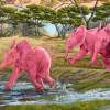 A Splash Of Pink - Oil Paintings - By Laura Curtin, Wildlife Art Painting Artist