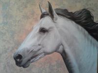 Horse Portrait 1 - Oil On Canvas Paintings - By Manuel Higueras, Hyperrealism Painting Artist