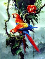 Macaw Parrot - Acrylics Mixed Media - By Simba   Robert Makoni, Mixed Media Mixed Media Artist