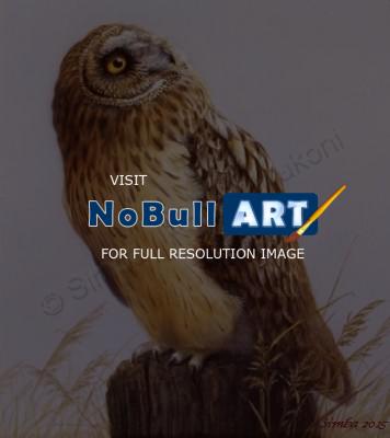 Wildlife And Nature Art - Owl - Acrylics