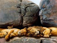 Resting Pride - Oil On Canvas Paintings - By Simba   Robert Makoni, Oils Painting Artist