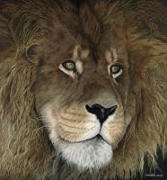 Wildlife And Nature Art - The Lion King - Oil On Canvas
