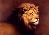 Wildlife And Nature Art - Simba The King - Oil On Canvas