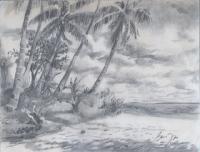 Landscape - Beach With Coconut - Moorea French Polynesia - Pencil Drawing