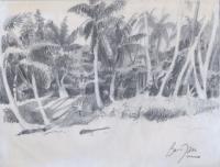 Landscape - Beach With Palms - Moorea French Polynesia - Pencil Drawing