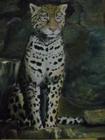 Snow Leopard - Acrylic On Canvas Paintings - By Deborah Boak, Realism Painting Artist