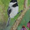 Chickadee  Coneflowers - Acrylic On Board Paintings - By Deborah Boak, Realism Painting Artist