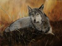 Lone Wolf - Acrylic On Board Paintings - By Deborah Boak, Realism Painting Artist
