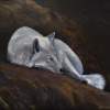 Sleeping Under The Stars - Acrylic On Board Paintings - By Deborah Boak, Realism Painting Artist