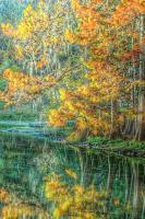 Autumn Reflections - Digital Photography - By Ronald Williams, Digitally Enhanced Photography Artist