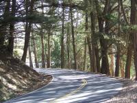 Just Around The Bend - Digital Camera Photography - By Maggie Cruser, Photgraphs Photography Artist