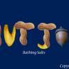 Nut Job Logo - Photoshop Pottery - By Kyle Byrnes, Faunci Pottery Artist