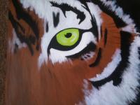 Tiger Eye - Acrylic Paintings - By David John Lane, Nature Painting Artist