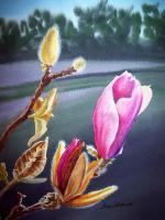 Magnolia Bud - Watercolor Paintings - By Artist Irina Sztukowski, Realism Painting Artist
