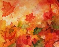 Flowers - Autumn Dance - Watercolor
