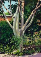 Pear Tree - Oil On Cardboard 247 X 339 Mm Paintings - By Yurii Makovetsky, Realism Painting Artist