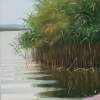 Cane On The Bank Of Samara - Oil On Cardboard 247 X 339 Mm Paintings - By Yurii Makovetsky, Realism Painting Artist
