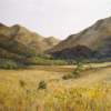 Landscape 1492 - Oil On Canvas Paintings - By Geoff Winckle, Impressionism  Realism Painting Artist