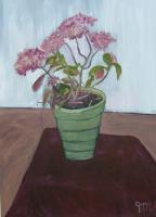 Chrysanthemum - Acrylic On Board Paintings - By Thomas Mc Donald, Still Life Painting Artist