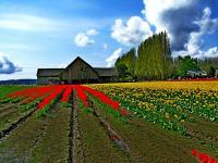 Red Yellow Green Barn - Digital Photography - By John Davis, Nature Photography Artist
