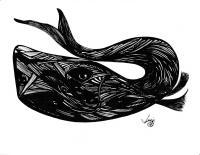 Daves All Seeing Whale - India Ink Drawings - By Shanon Van Gordon, Fantasy Drawing Artist
