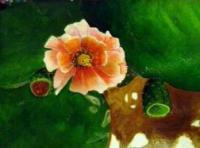 Prickley Beauty - Acrylic Paintings - By Elaine Childers, Realism Painting Artist
