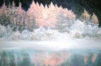 Splendor Of Canadian Winter - Acrylic On Gallery Canvas Paintings - By Marie-Line Vasseur, Realism Painting Artist