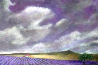2010 Artworks - Lavender In The Sky And Land - Acrylic On Gallery Canvas