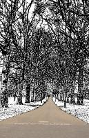 Daydream Road - Photography -- Digitally Edite Digital - By Alexis Hejna, Select Color Digital Artist