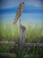 Watchful Eye - Acrylic Paintings - By Mary Fitzgerald, Acrylic Painting Artist