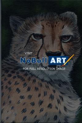 Naturewildlife - A Christmas Cheetah - Acrylic