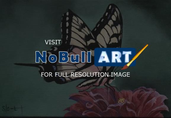 Naturewildlife - Fragile Wings 4 - Acrylic